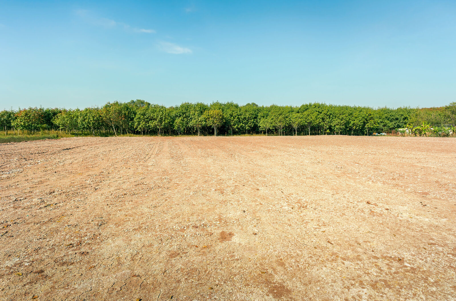 Vacant construction lot